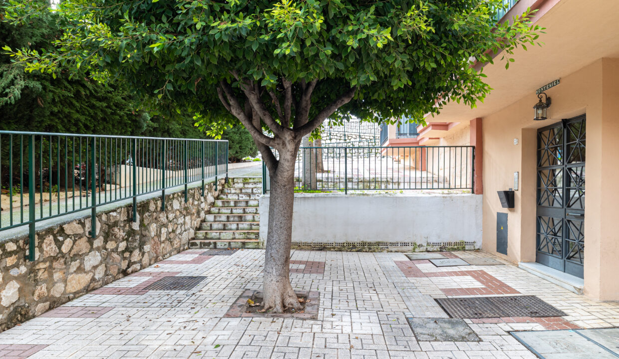 260114 BENALMÁDENA (23)