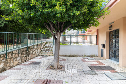 260114 BENALMÁDENA (23)